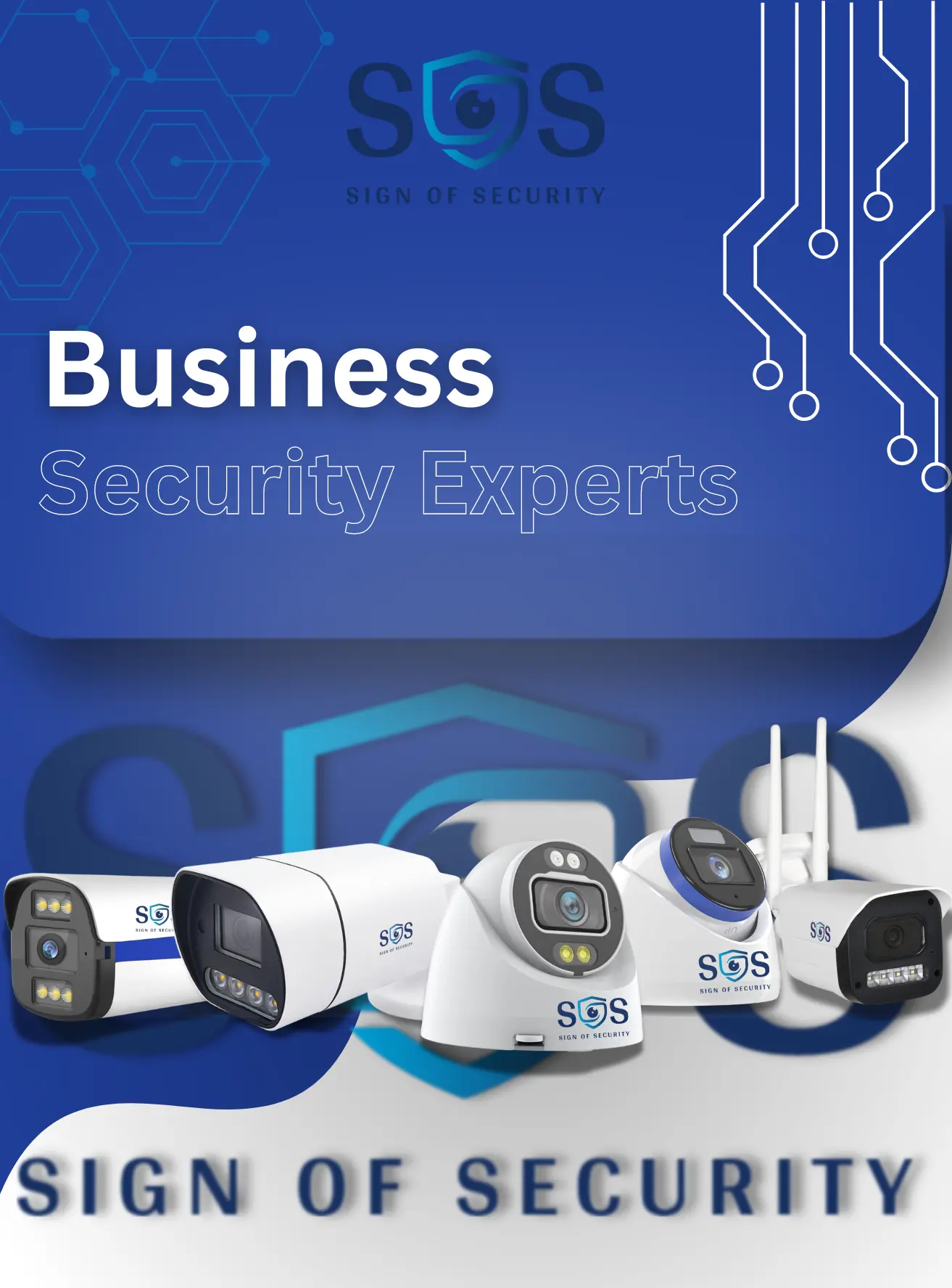 business security expert